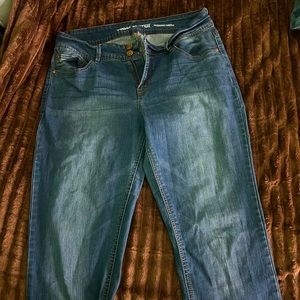 Wallflower jeans the luscious curvy fit